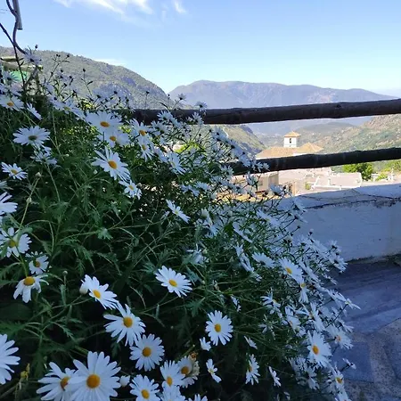 Casa rural Encarnita Bubión